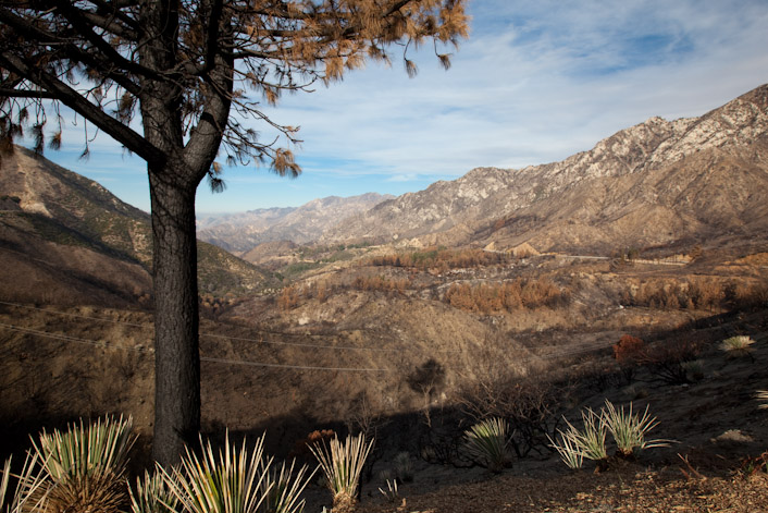 The surreal, brown, dead landscape near Angeles Forest Highway