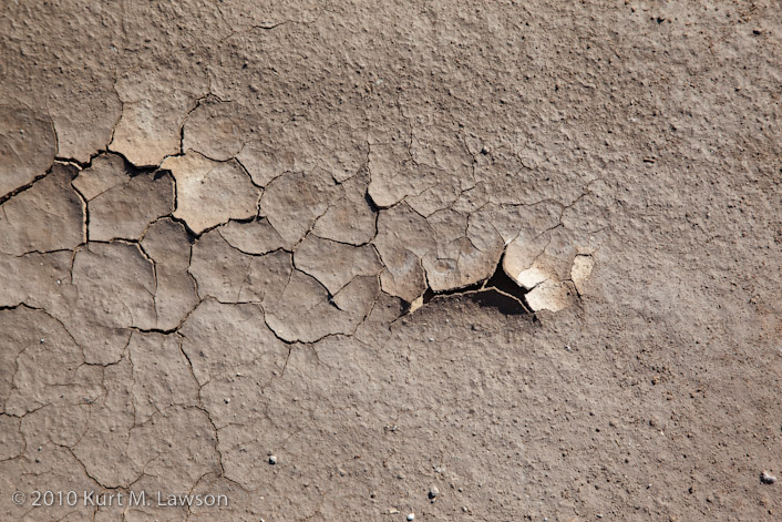 Cracked Mud Pattern