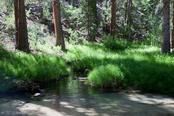 Along the banks of the North Fork of Big Pine Creek