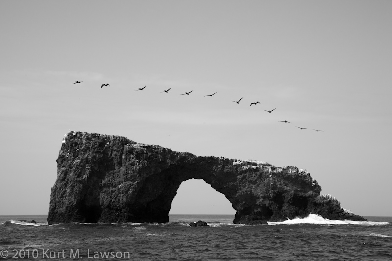 Flying in Formation Over Arch Rock