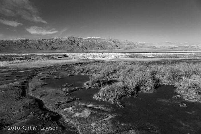 Looking back from the marsh