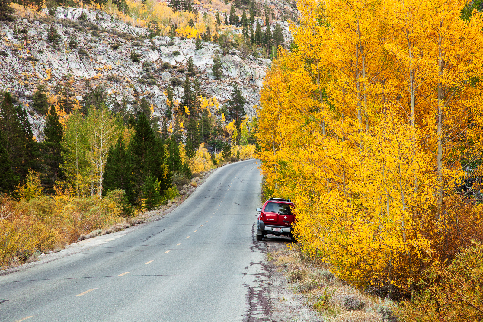 xterra on the side of a mountain road with towering golden aspen trees